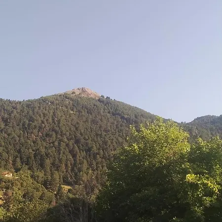 Efterpi's Tower House! εύ τέρπω She Who Brings Joy